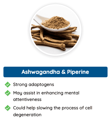 Ashwagandha & Piperine - Potent adaptogens in Quietum Plus that support mental focus, reduce stress, and slow down cell degeneration.