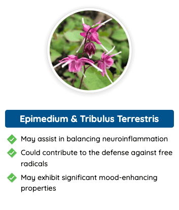 Epimedium & Tribulus Terrestris - Natural ingredients in Quietum Plus that help balance neuroinflammation, combat free radicals, and enhance mood.