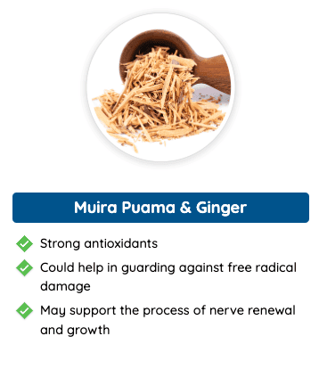 Muira Puama & Ginger - Natural ingredients in Quietum Plus that provide strong antioxidants, protect against free radical damage, and support nerve regeneration.