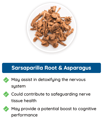 Sarsaparilla Root & Asparagus - Herbal ingredients in Quietum Plus that aid in nervous system detox, protect nerve tissues, and enhance cognitive performance.