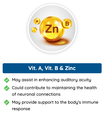 Vitamin A, B & Zinc - Essential nutrients in Quietum Plus that enhance auditory function, support neuronal health, and strengthen the immune system